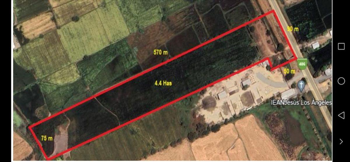 Oportunidad de Inversión! Terreno en Venta 44.000 m² - Vía La Aurora - T - Salitre - Av Principal, Guayas — imagen 6