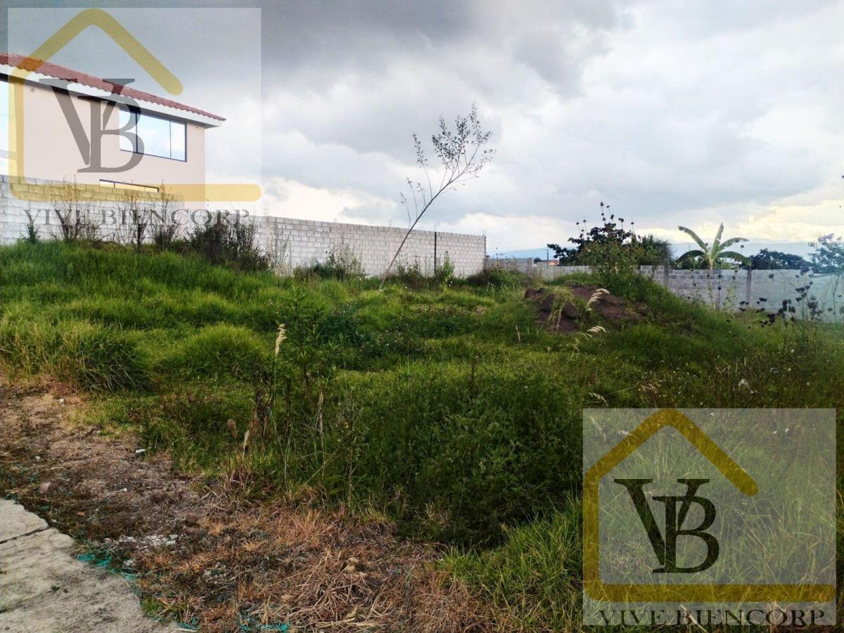 Terreno en Venta Dentro de Urbanización Sector El Colibri — imagen 10