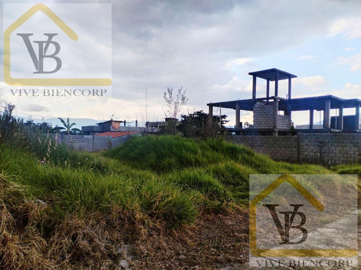 Terreno en Venta Dentro de Urbanización Sector El Colibri — imagen 8