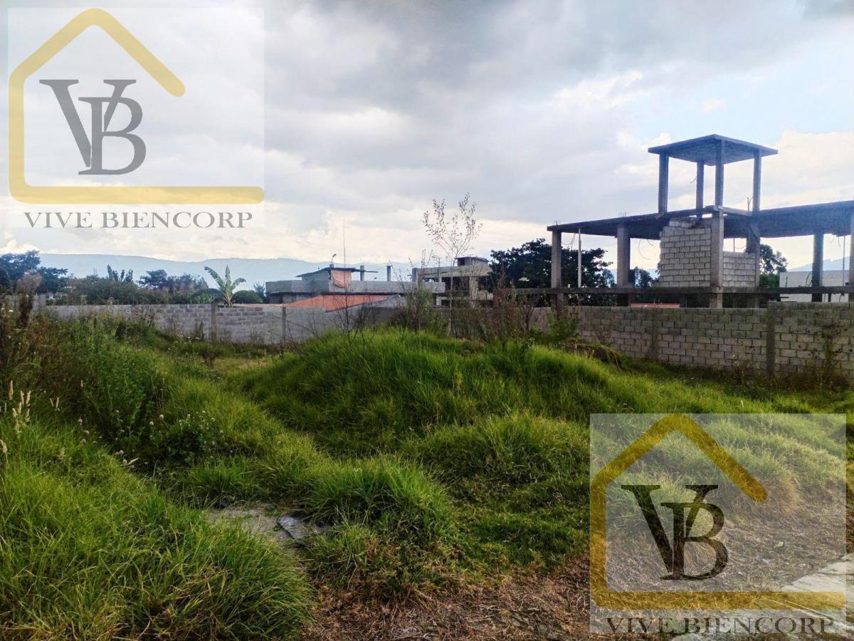 Terreno en Venta Dentro de Urbanización Sector El Colibri — imagen 6