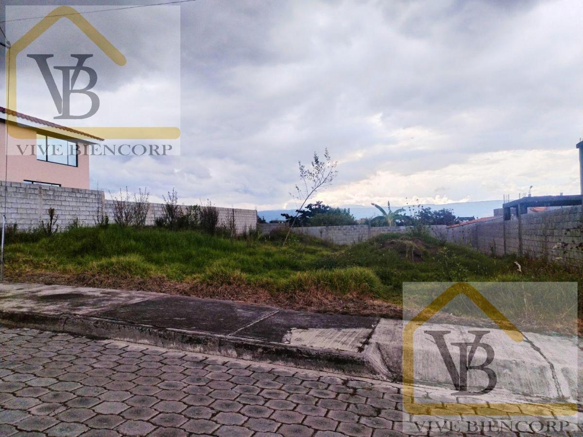 Terreno en Venta Dentro de Urbanización Sector El Colibri — imagen 5