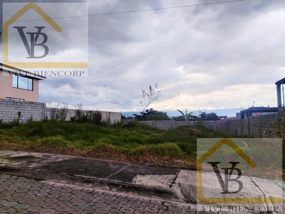 Terreno en Venta Dentro de Urbanización Sector El Colibri — imagen 4