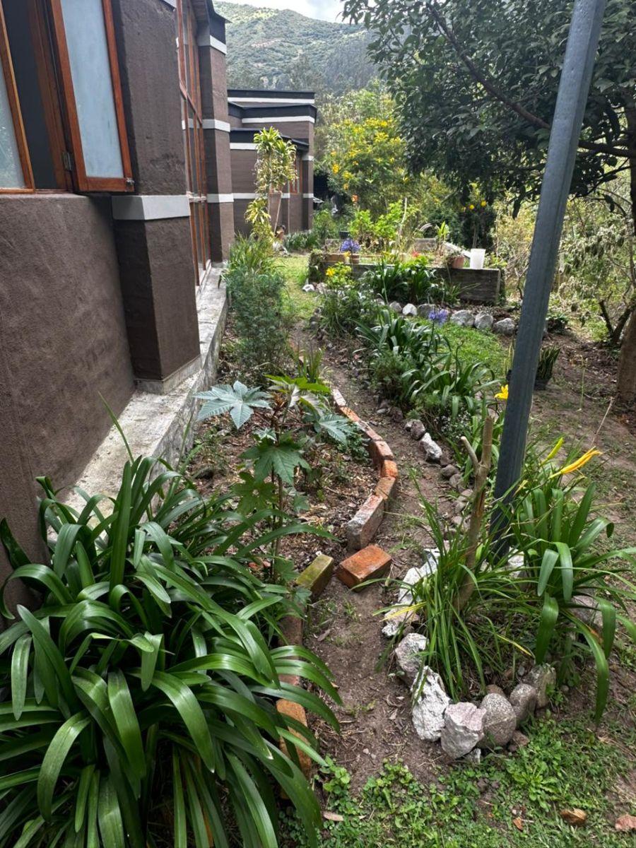 Venta Casa un Solo Nivel Mas Suite Mas Terreno. Independiente La Vaqueria Intervalle — imagen 7