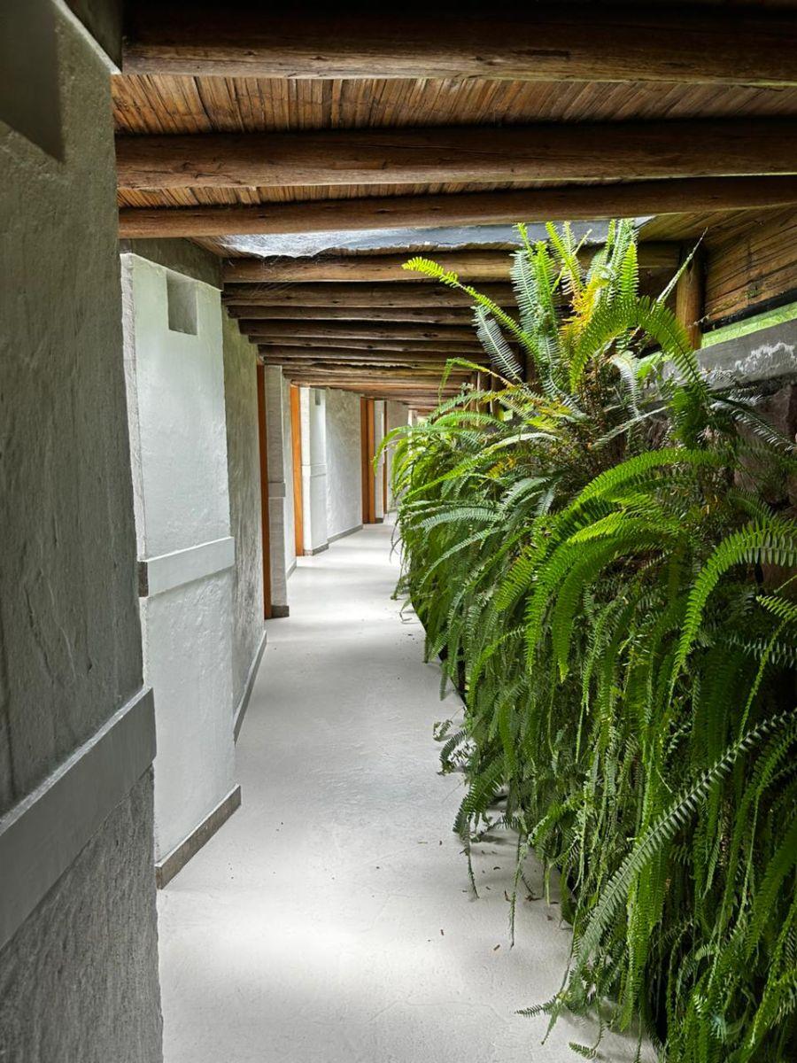 Venta Casa un Solo Nivel Mas Suite Mas Terreno. Independiente La Vaqueria Intervalle — imagen 6