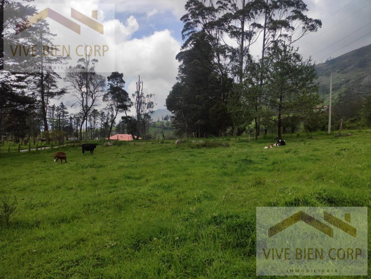 Terrenos de Venta en Azuay Zona Residencial, Sector Cachiloma, Azuay — imagen 10