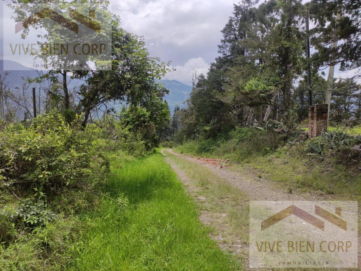 Terrenos de Venta en Azuay Zona Residencial, Sector Cachiloma, Azuay — imagen 9