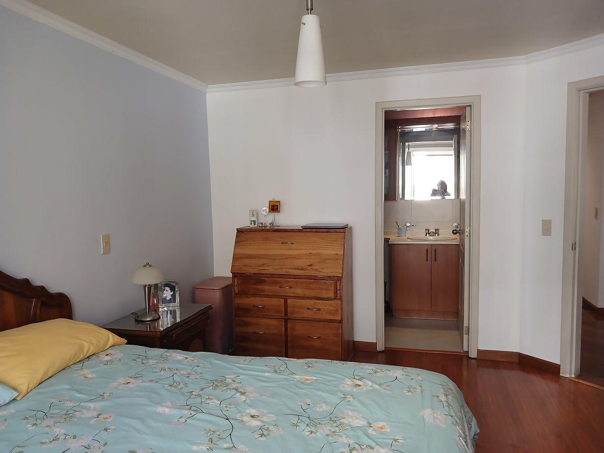Vendo Lindo Dpto 3 Dorm. Bellavista Baja — imagen 10