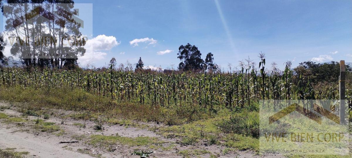 Terreno Esquinero de Venta en Malchingui — imagen 10