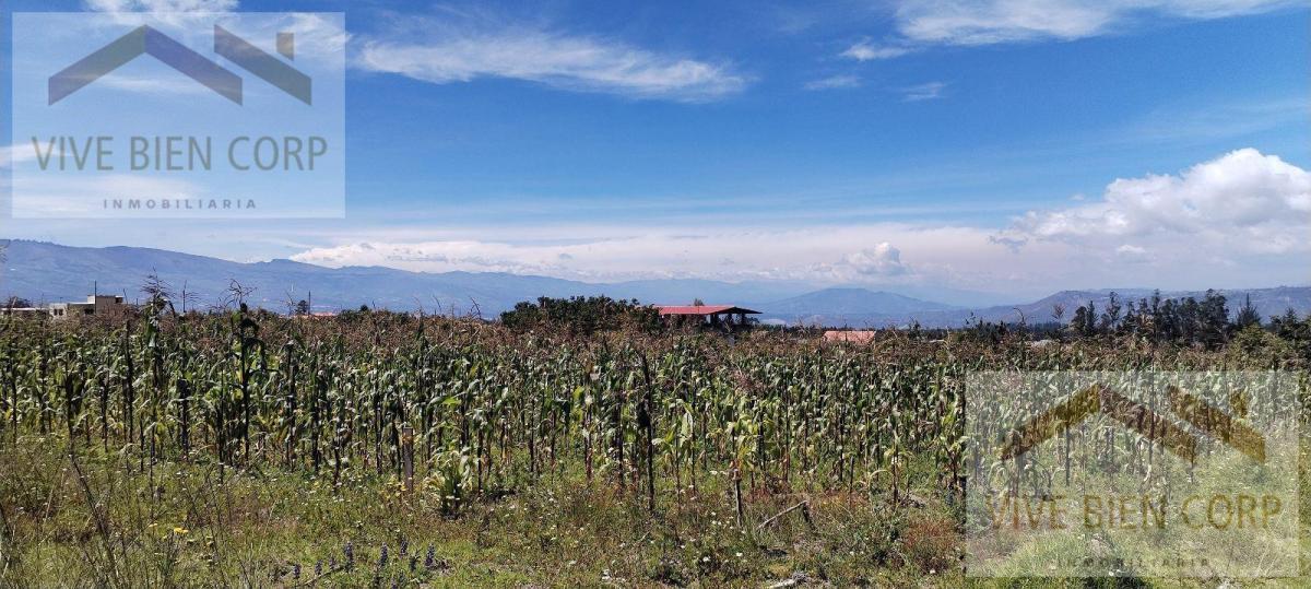 Terreno Esquinero de Venta en Malchingui — imagen 8