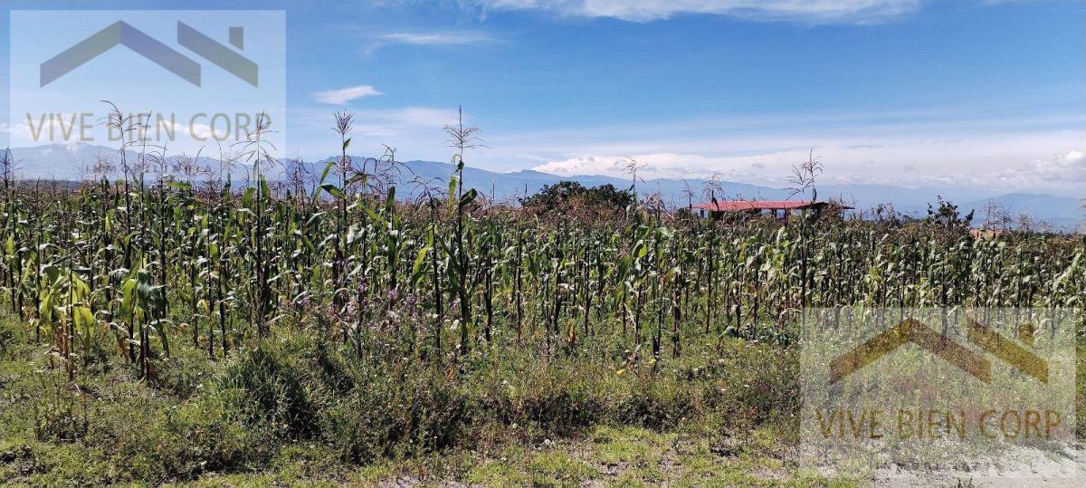 Terreno Esquinero de Venta en Malchingui — imagen 7