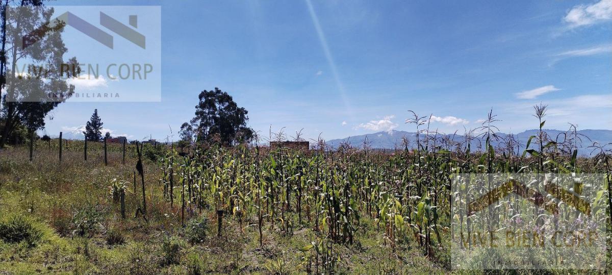 Terreno Esquinero de Venta en Malchingui — imagen 6