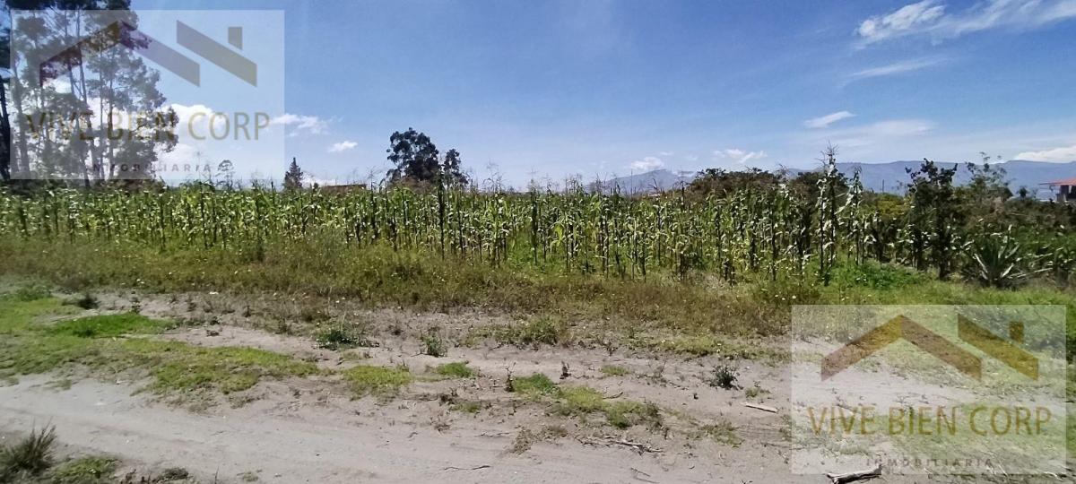 Terreno Esquinero de Venta en Malchingui — imagen 4
