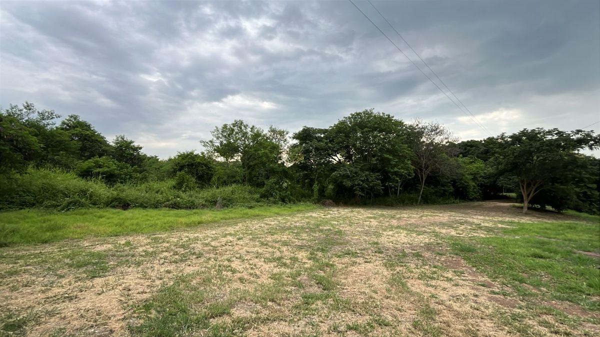 Terreno en Venta 83.800 m² - con Plantación de Teca, Vía a La Costa Km 26 - Pasando El Peaje, Guayas — imagen 7