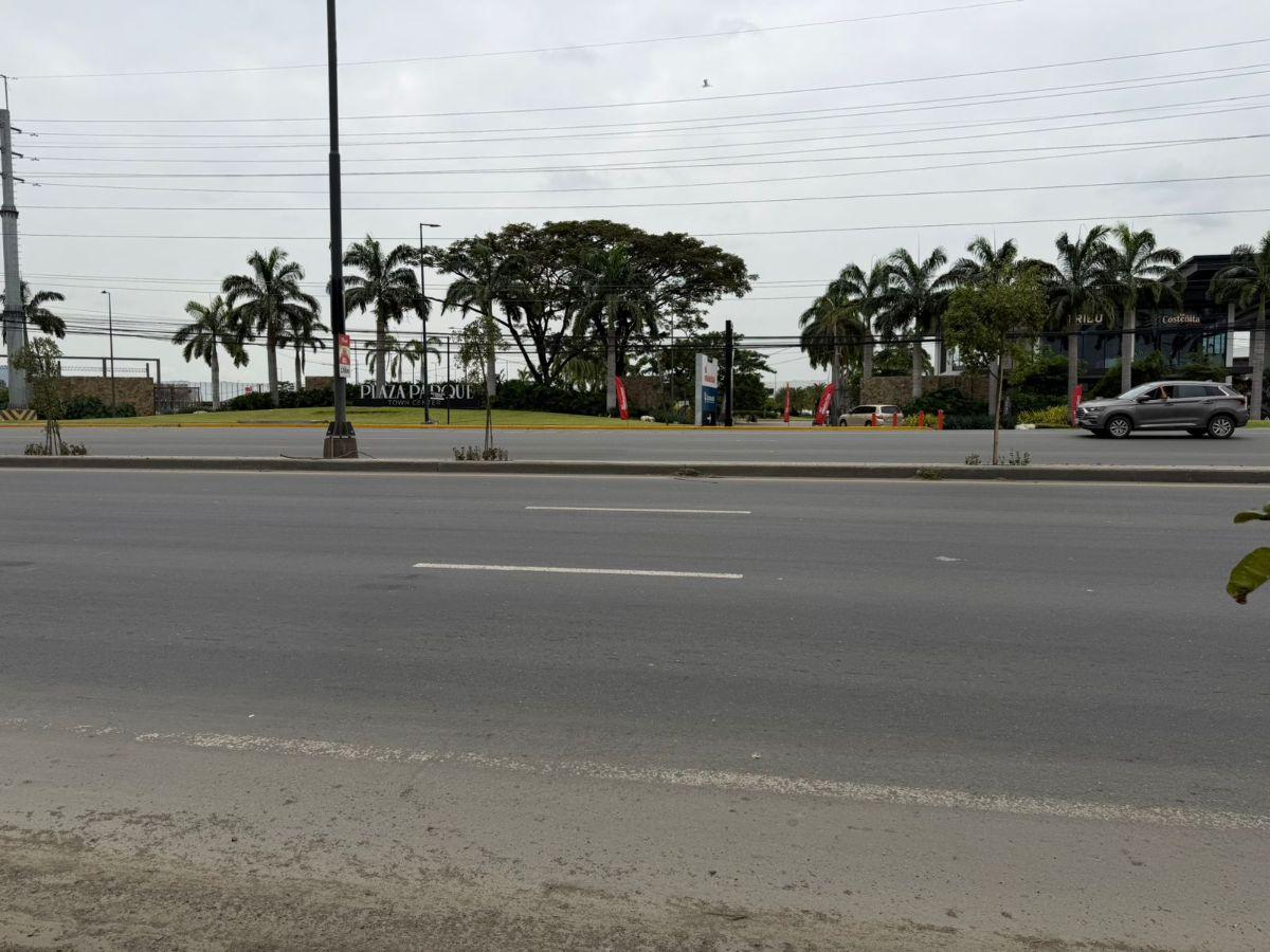 Terreno en Venta 16.400 m² - Av León Febres Cordero - La Aurora - Daule, Guayas — imagen 8