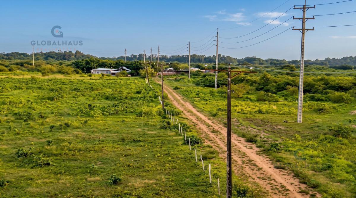 Venta Terreno Vía a La Costa Lotizacion Los Algarrobos Km 19.5, 25860 m², A. m. Guayas — imagen 8