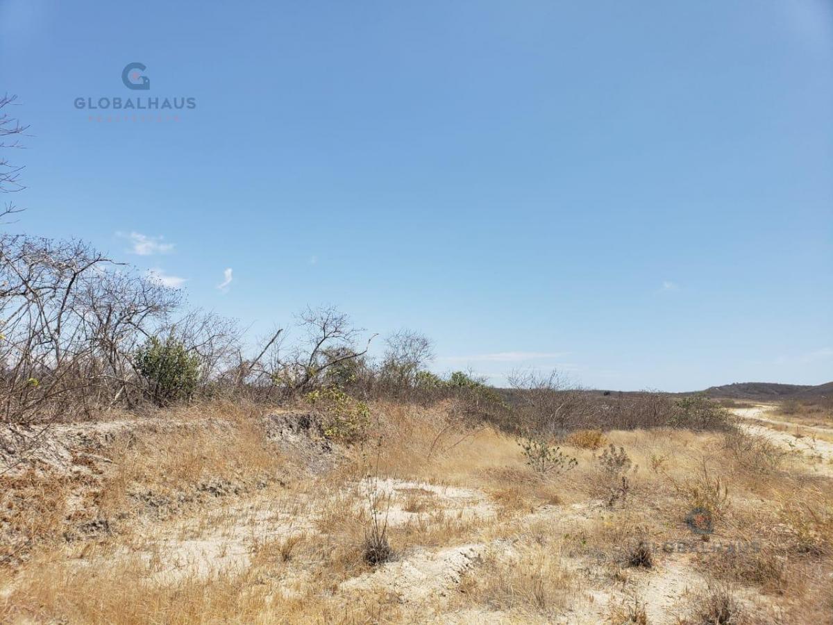 Venta Terreno, Sector Los Gavilanes, Manta, P. C. Manabí — imagen 6