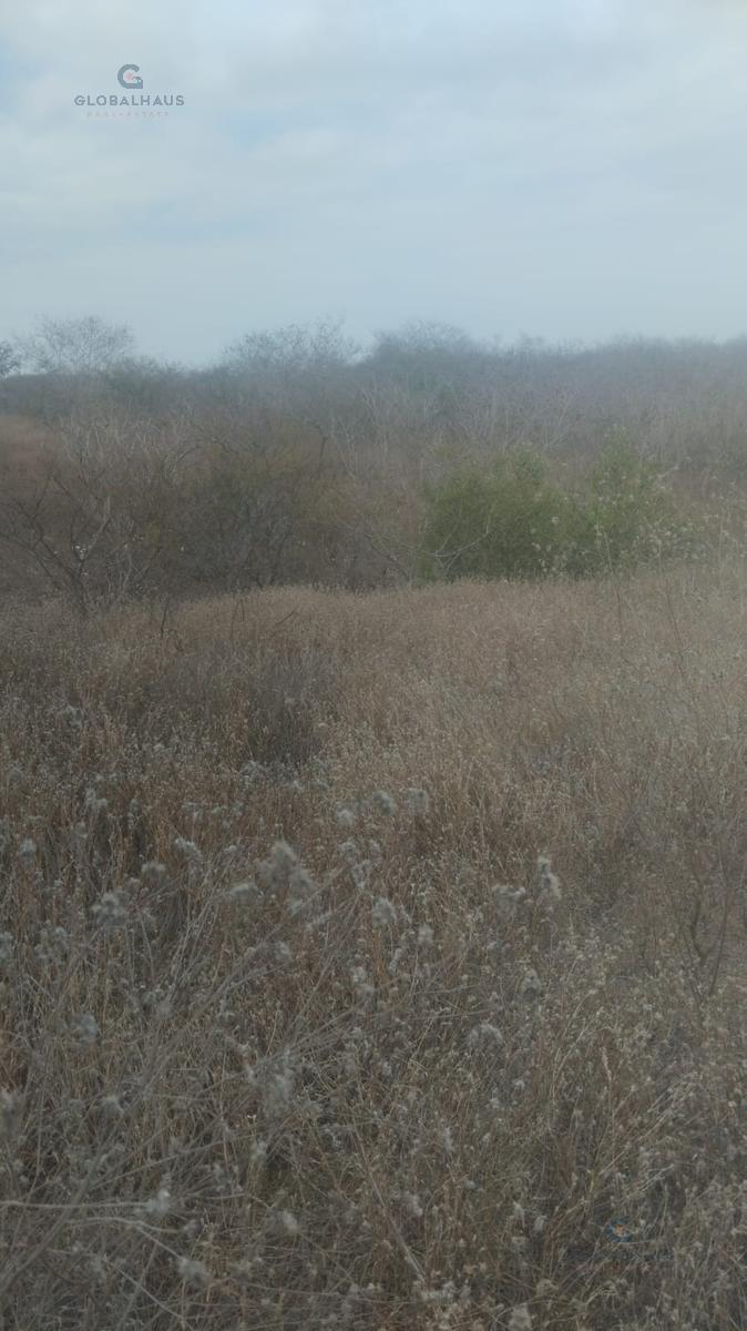 Venta Terreno, Sector Los Gavilanes, Manta, P. C. Manabí — imagen 4