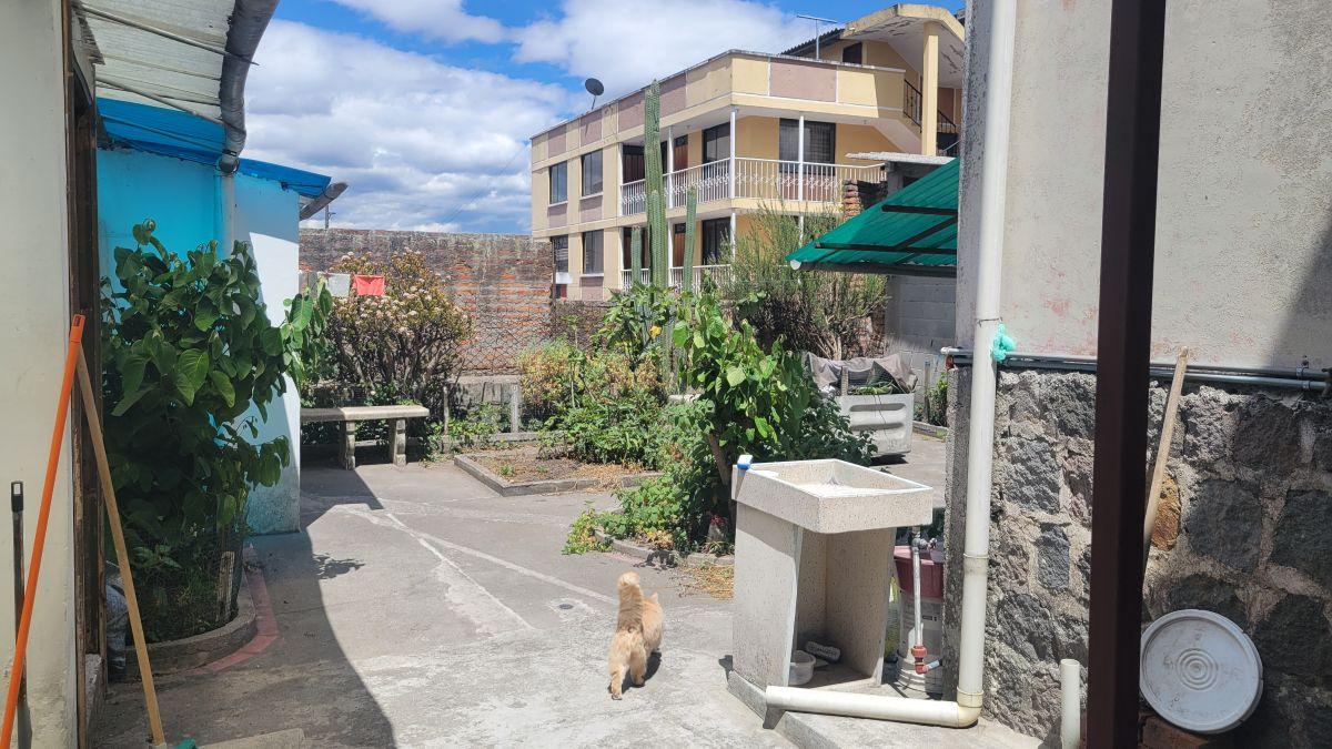 Vendo Propiedad Patrimonial - La Floresta — imagen 6