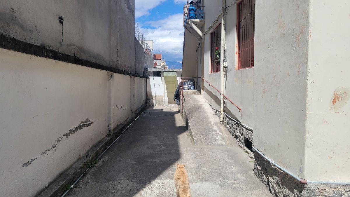 Vendo Propiedad Patrimonial - La Floresta — imagen 5