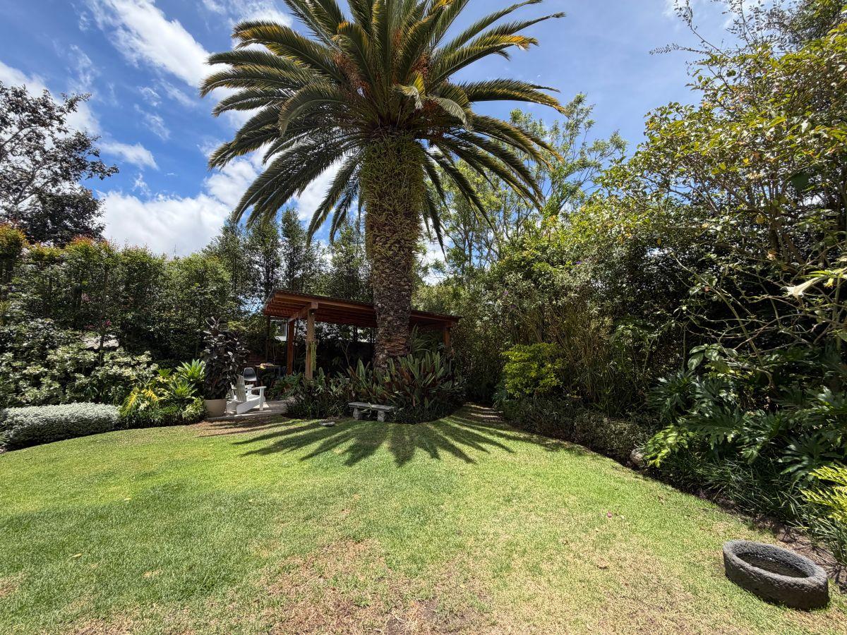 Vendo Hermosa Casa Terreno 623 m² Construcción 856 m² — imagen 8