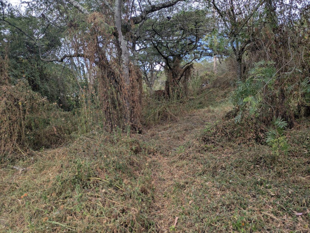 De Venta Terreno – Sector Tumbaco Cerca a Chaquiñan — imagen 8