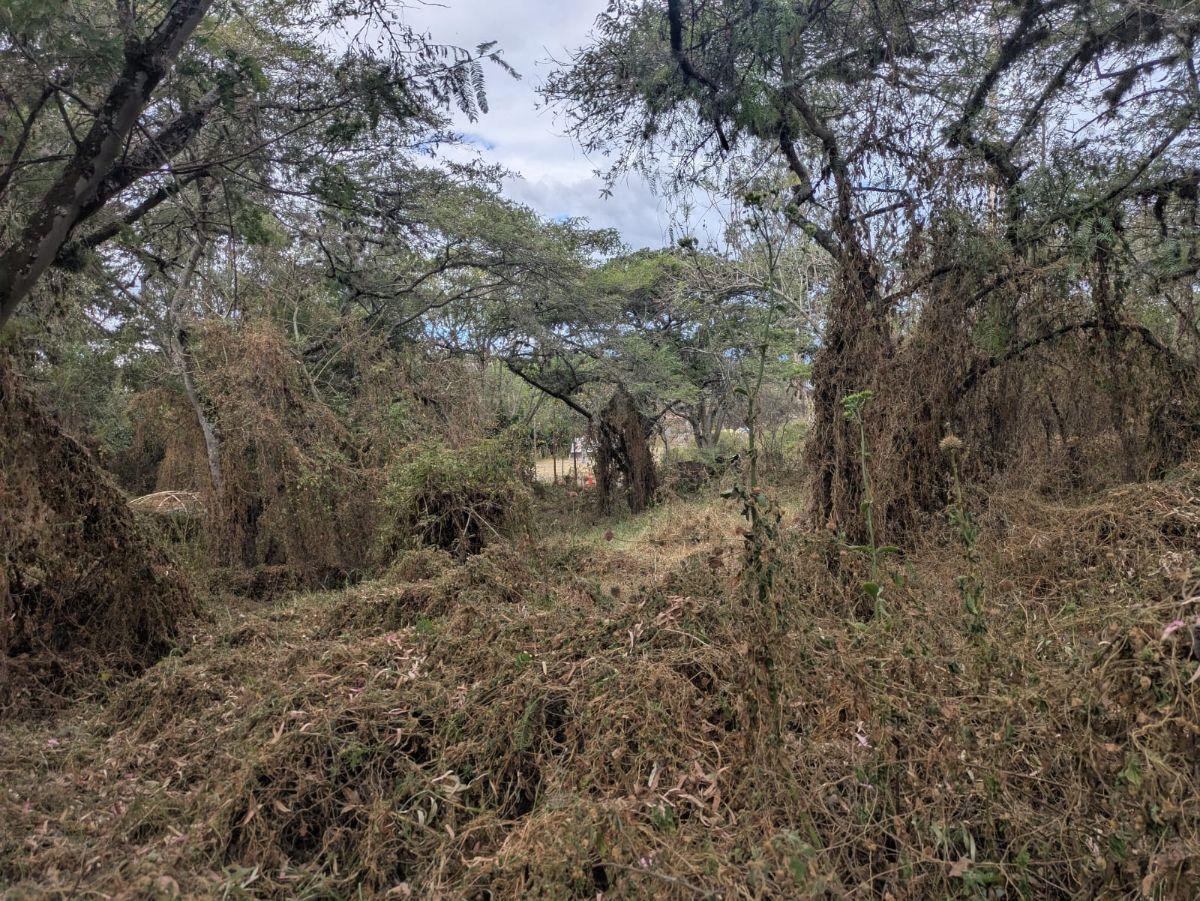 De Venta Terreno – Sector Tumbaco Cerca a Chaquiñan — imagen 7