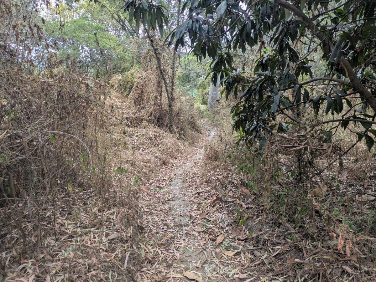 De Venta Terreno – Sector Tumbaco Cerca a Chaquiñan — imagen 6