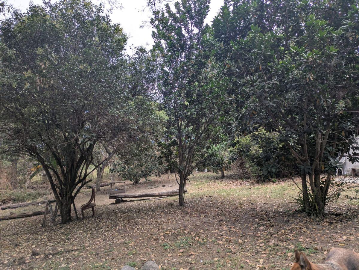 De Venta Terreno – Sector Tumbaco Cerca a Chaquiñan — imagen 5