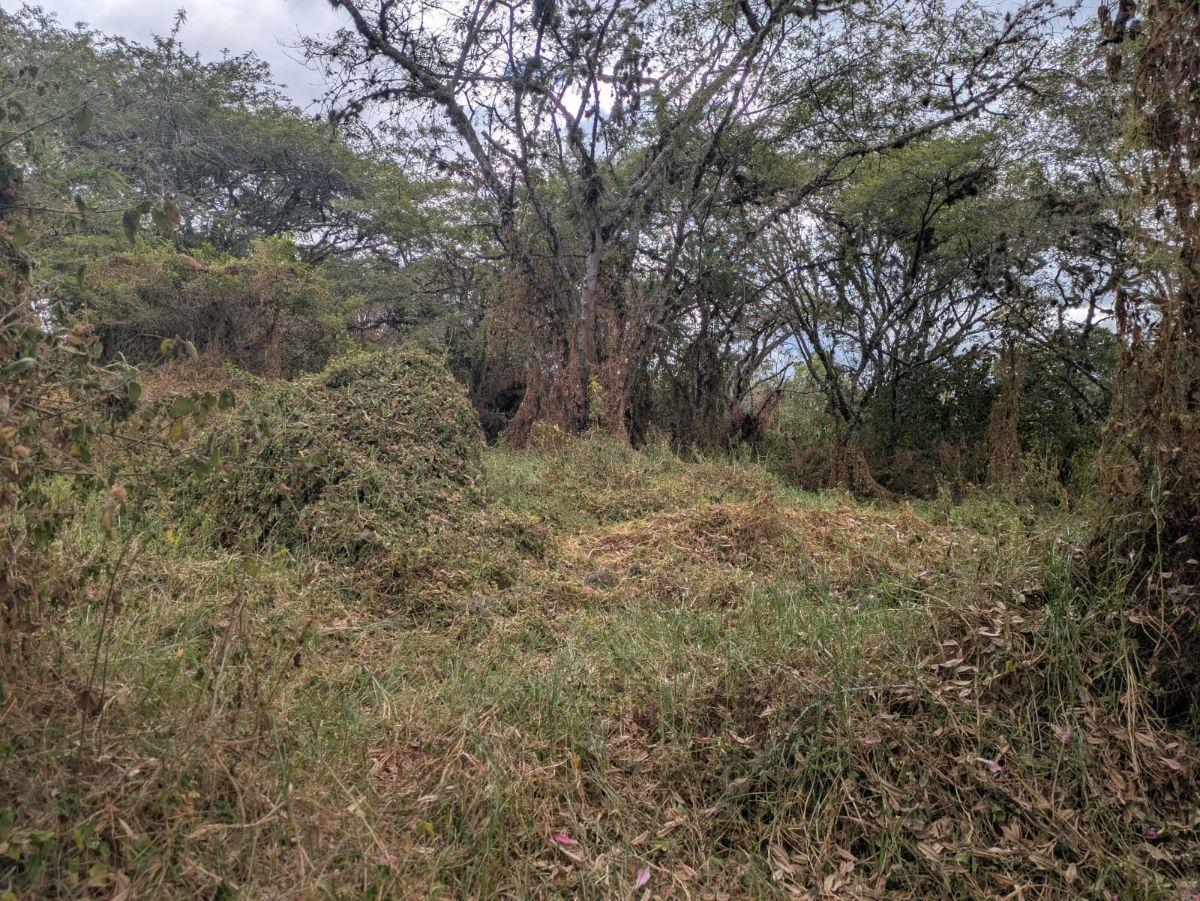 De Venta Terreno – Sector Tumbaco Cerca a Chaquiñan — imagen 4