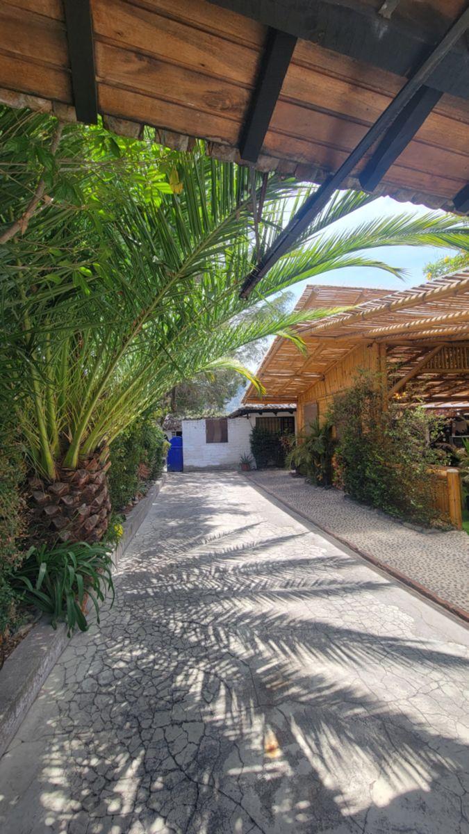 Terreno de 1100 m² con Casa Estilo Campestre — imagen 10