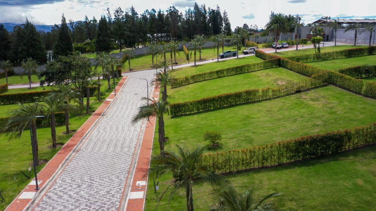 Terrenos de Venta Puembo Alto/ Cerca Colegio Einstein, Americano — imagen 10