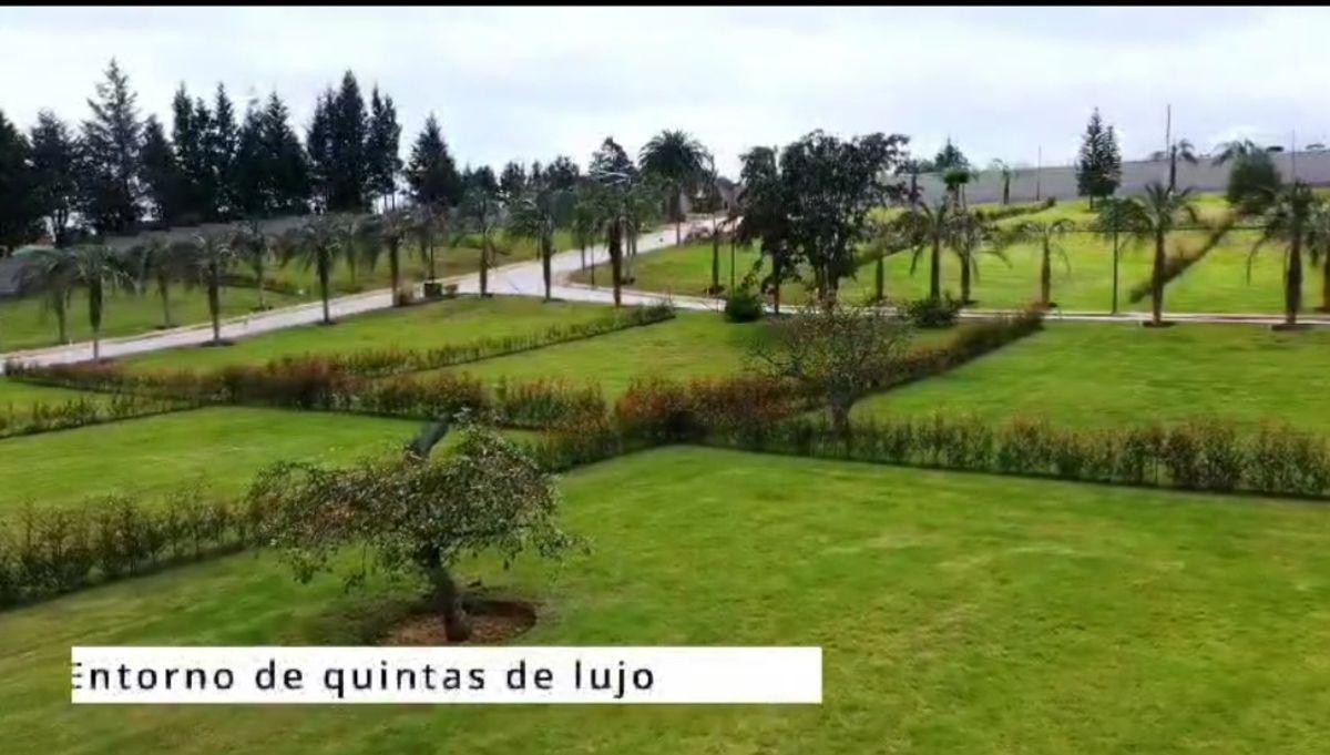 Terrenos de Venta Puembo Alto/ Cerca Colegio Einstein, Americano — imagen 8