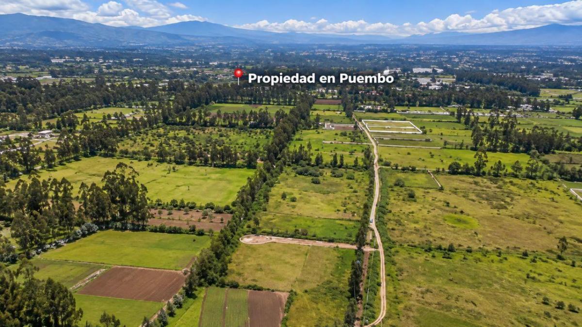 Terreno Para Proyectos Inmobiliarios en Venta en Puembo — imagen 6