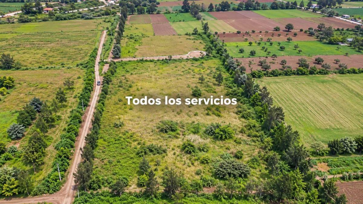 Terreno Para Proyectos Inmobiliarios en Venta en Puembo — imagen 4
