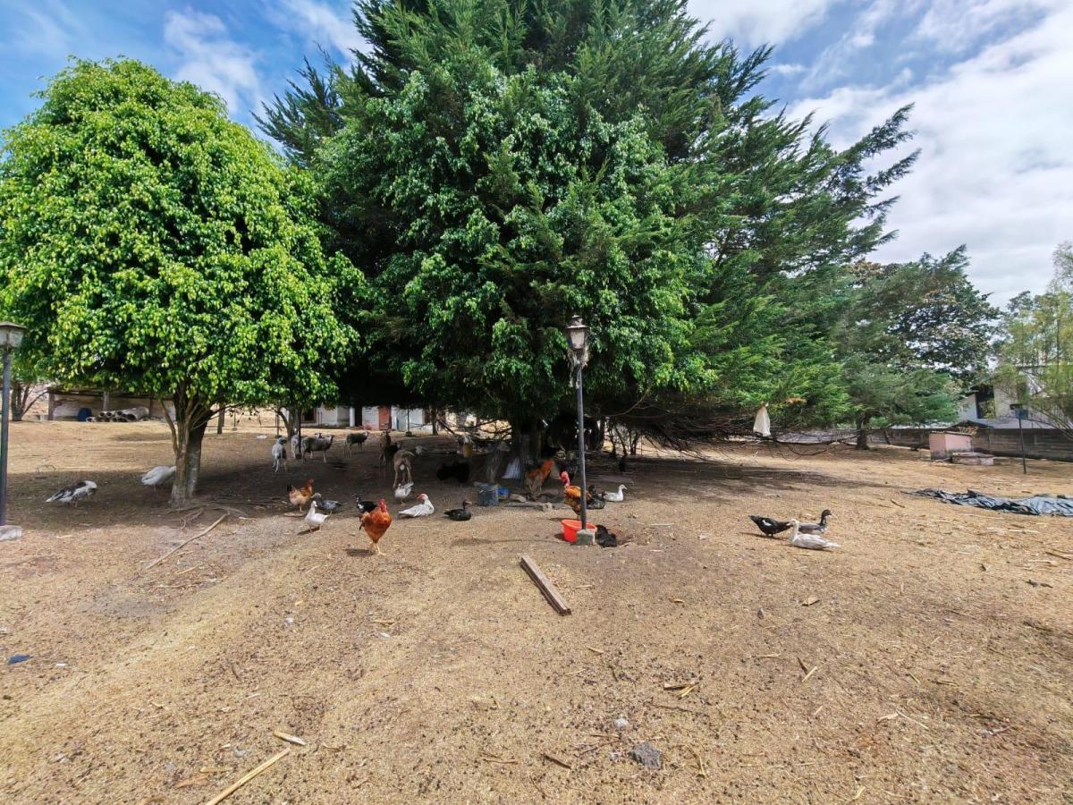 Terreno en Venta Sector Conocoto Ideal Constructores — imagen 10