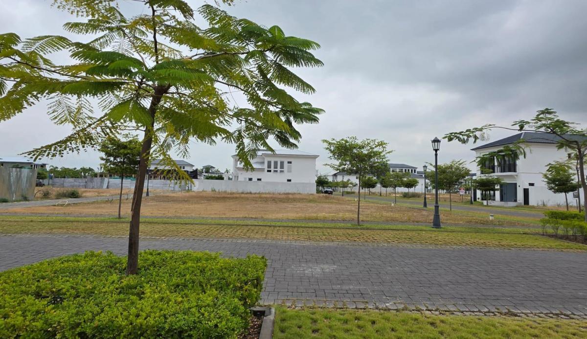 Terreno en Venta Esquinero en Urb. Aires Norte, Km. 8 Vía a Samborondón, Guayas — imagen 8