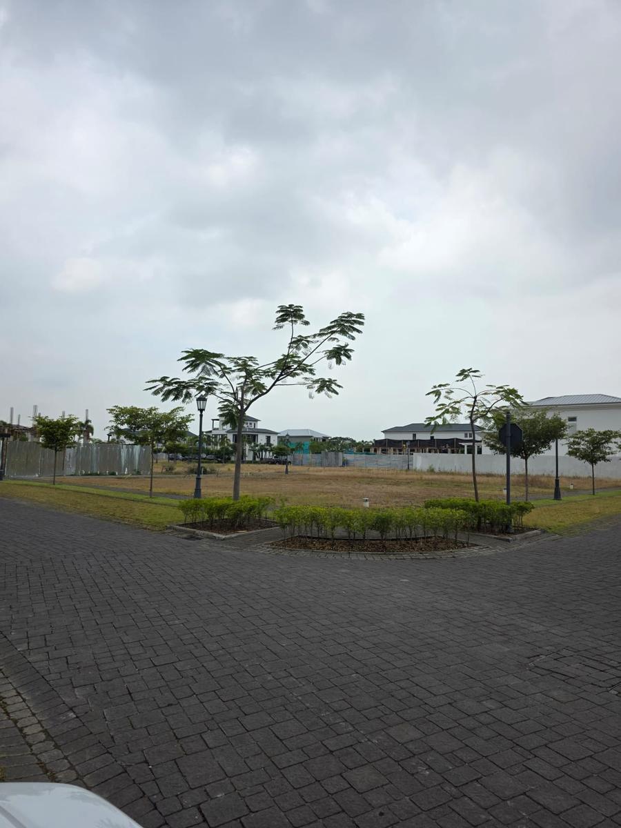 Terreno en Venta Esquinero en Urb. Aires Norte, Km. 8 Vía a Samborondón, Guayas — imagen 5
