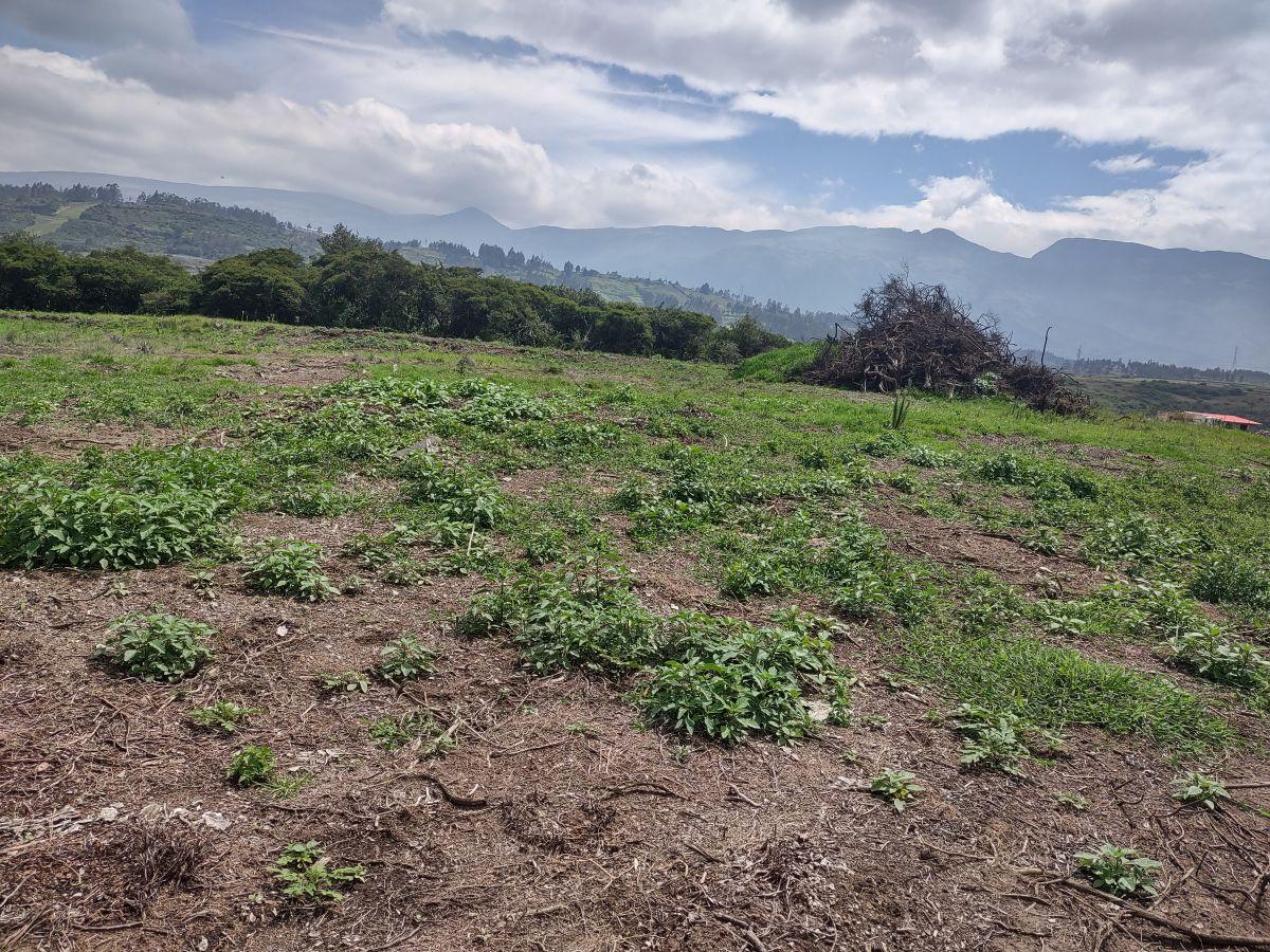 Terreno 77.400 m², Industrial de Alto Impacto, E35, Zona Industrial, Quito — imagen 5