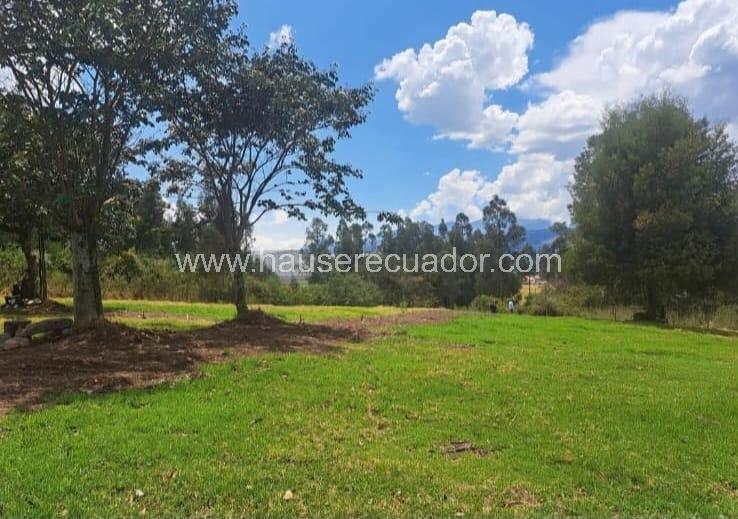 Terreno con Gran Potencial Para Constructoras, Proyectos de Vivienda o Finca Privada – Inchalillo — imagen 10