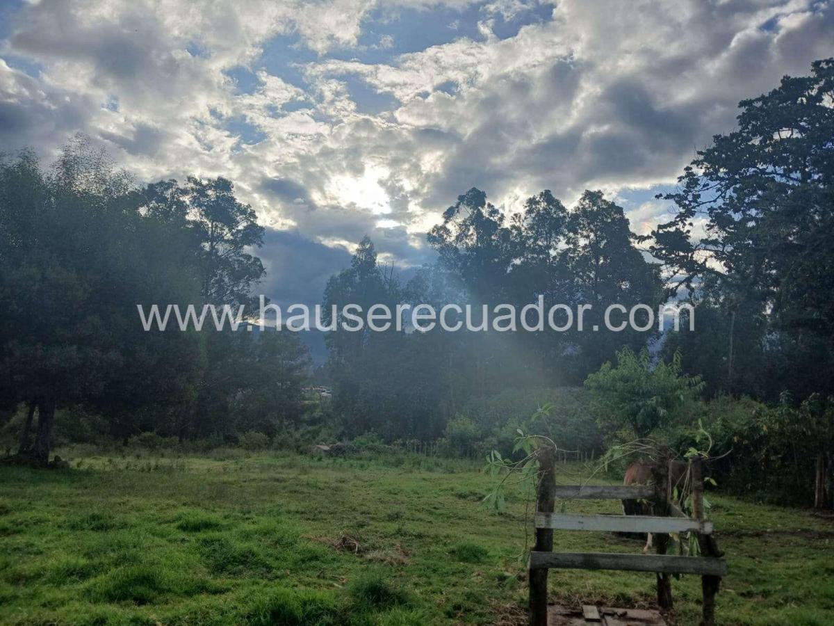 Terreno con Gran Potencial Para Constructoras, Proyectos de Vivienda o Finca Privada – Inchalillo — imagen 6