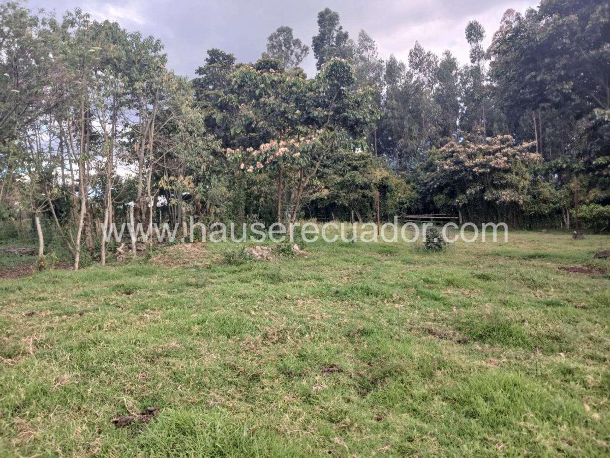 Terreno con Gran Potencial Para Constructoras, Proyectos de Vivienda o Finca Privada – Inchalillo — imagen 5