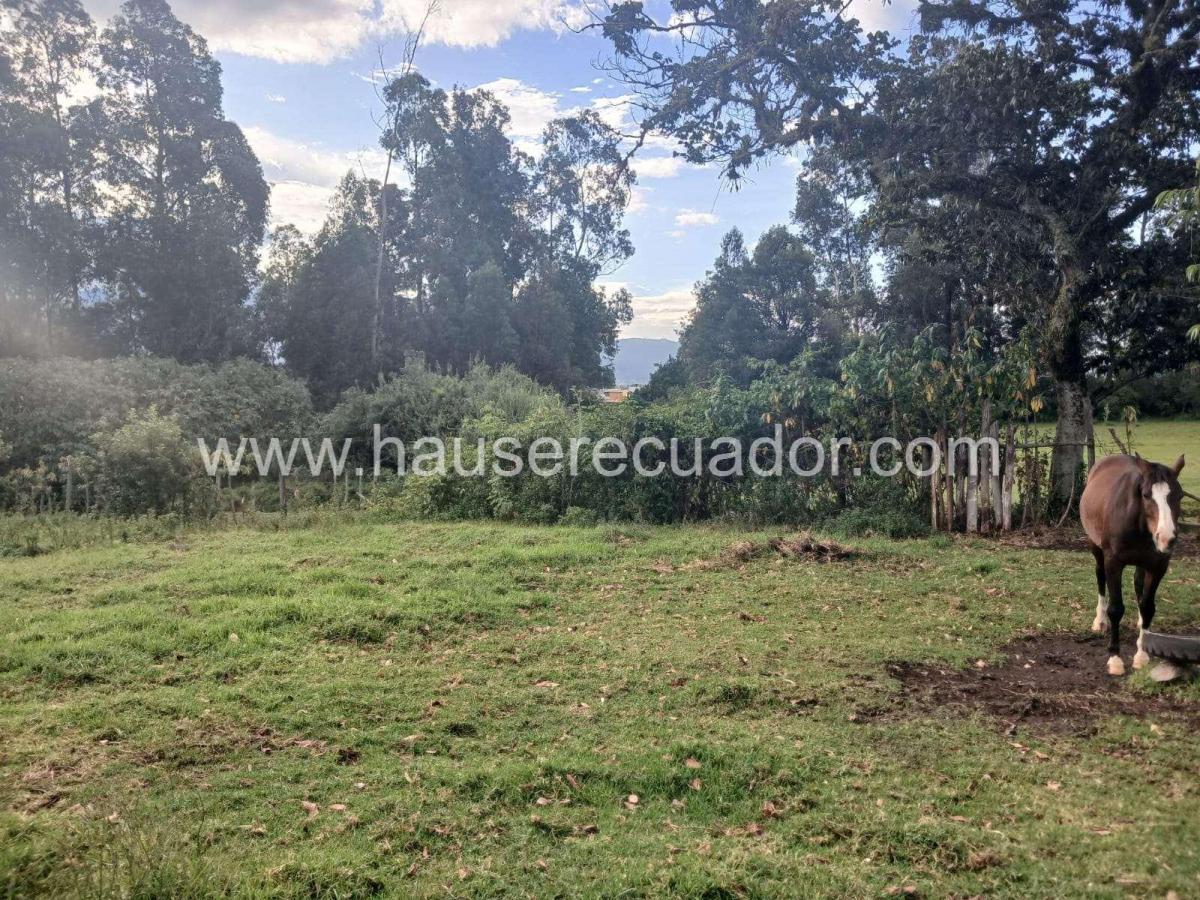 Terreno con Gran Potencial Para Constructoras, Proyectos de Vivienda o Finca Privada – Inchalillo — imagen 4