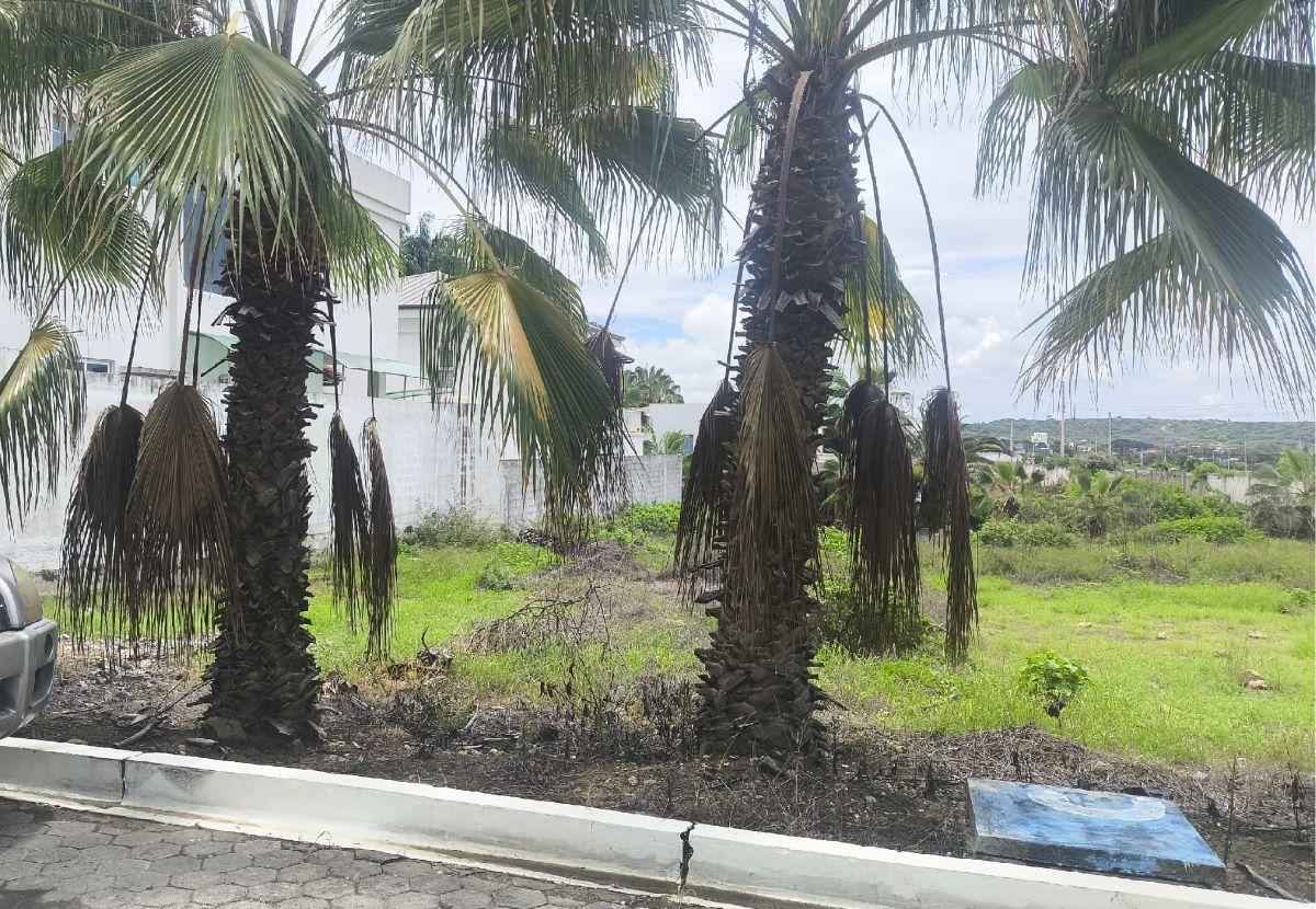 Venta Terreno en Punta Centinela de 336 m² Oportunidad — imagen 4