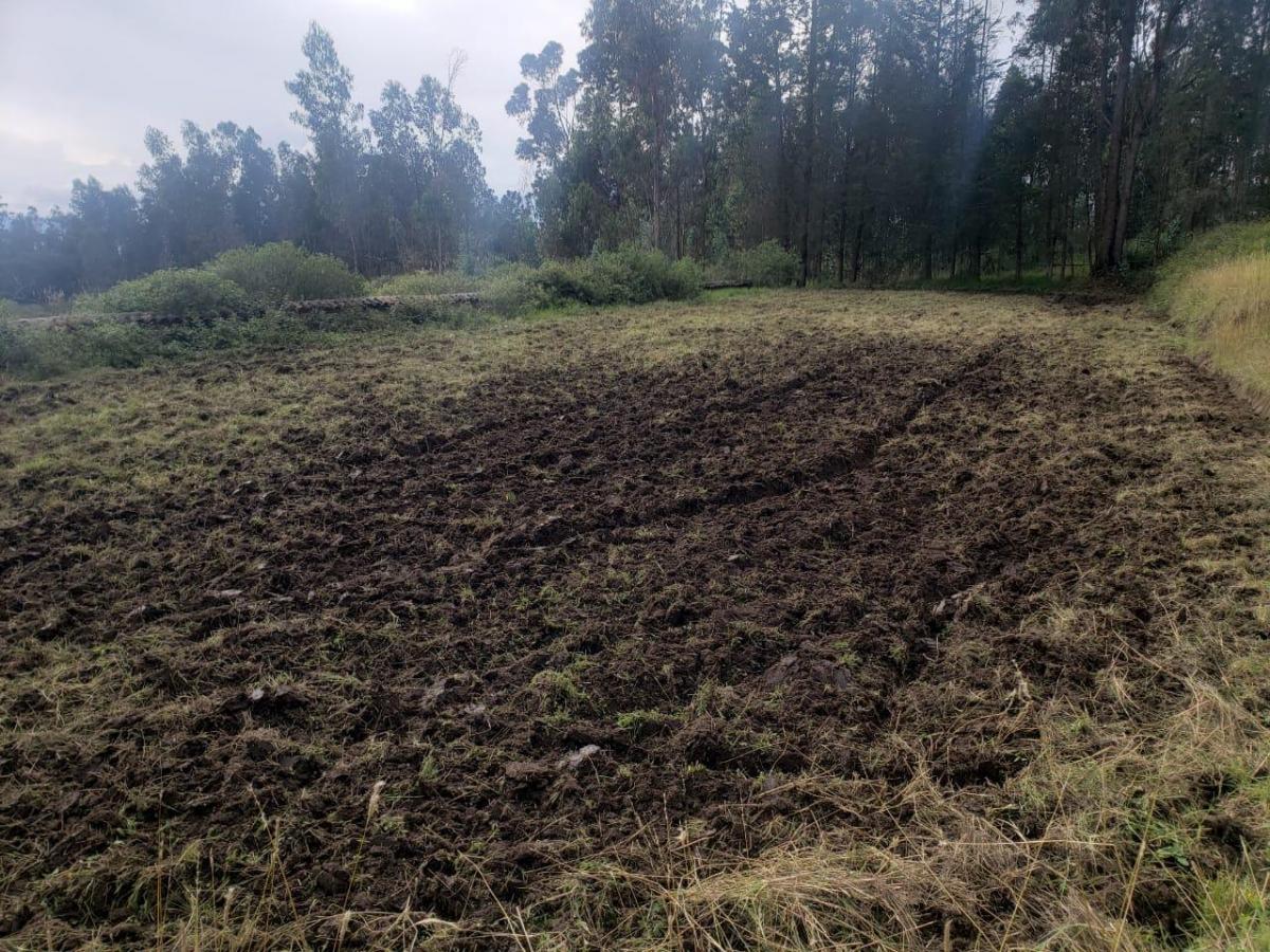 Vendo Terreno Sector Quinche - La Esperanza — imagen 8
