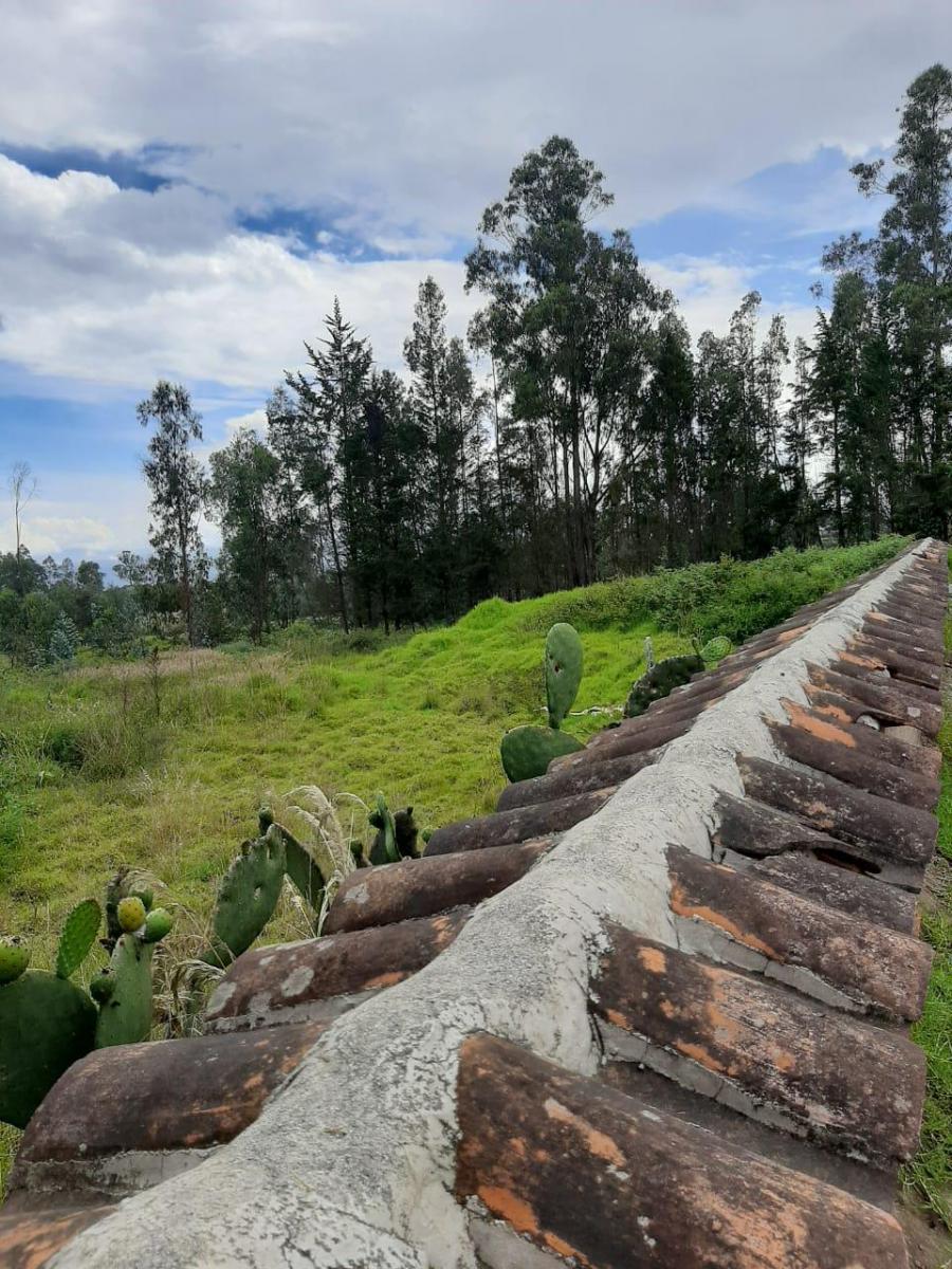 Vendo Terreno Sector Quinche - La Esperanza — imagen 7