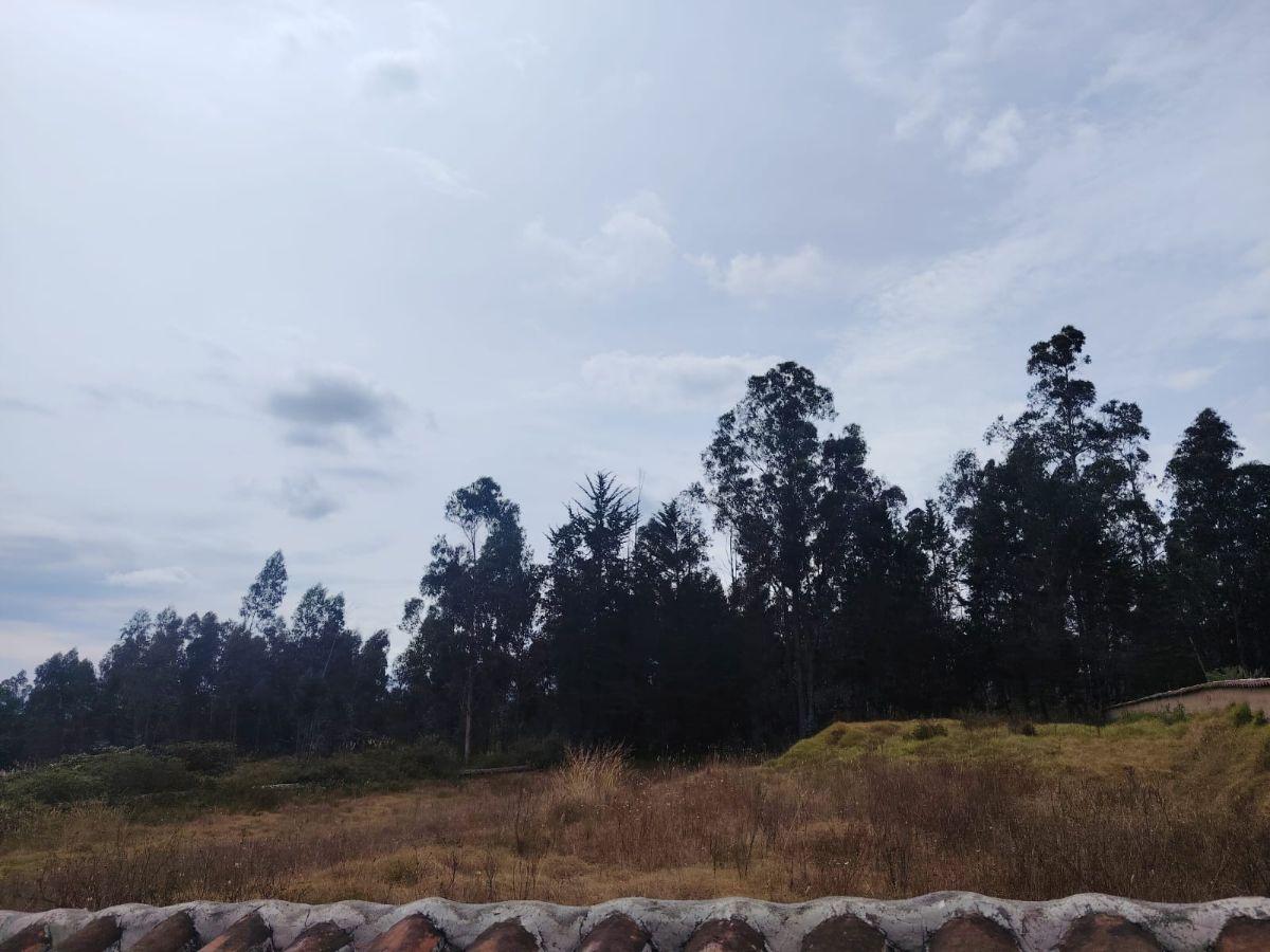 Vendo Terreno Sector Quinche - La Esperanza — imagen 6
