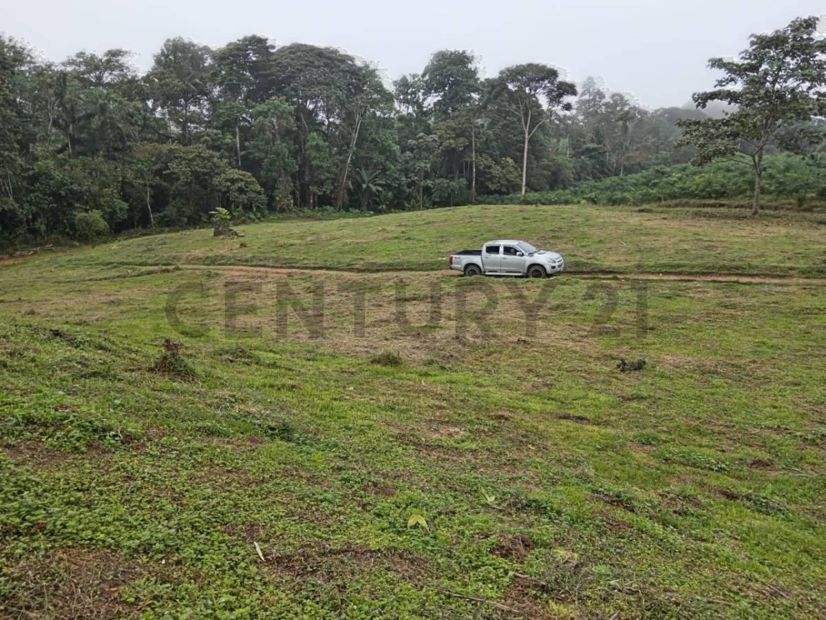 12300 m² en Venta - Pedro Vicente Maldonado — imagen 6
