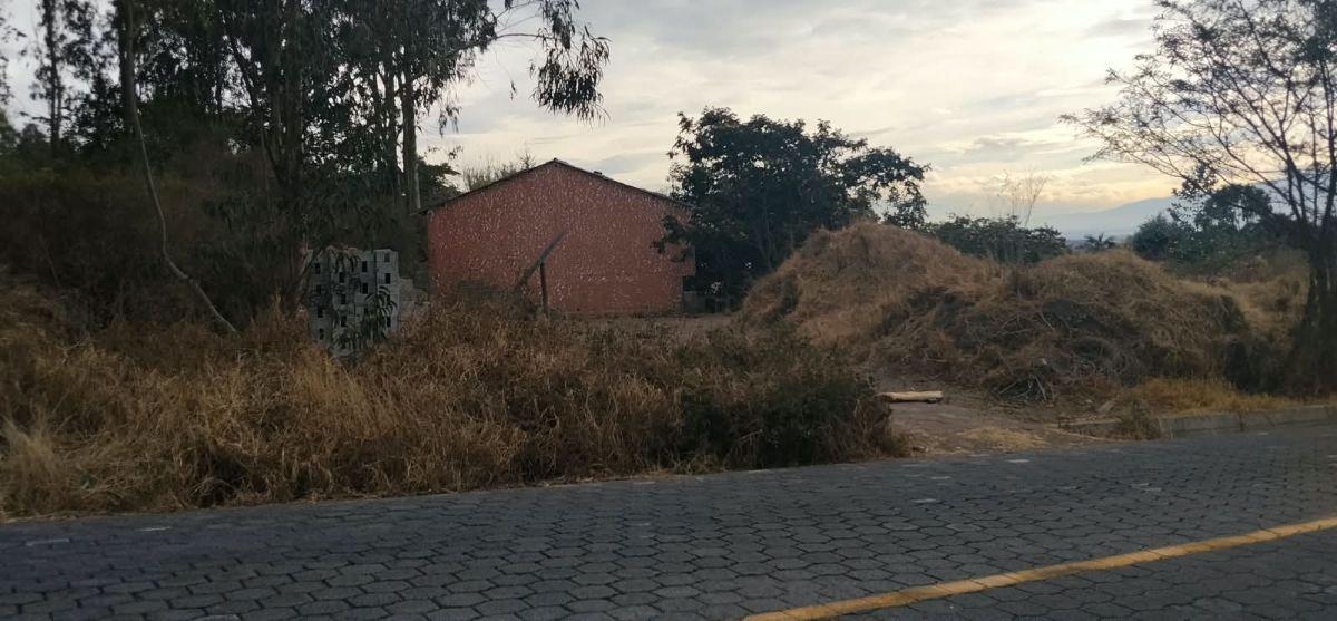 Nayón, Calle Manuela Sáenz, Vendo Terreno de 780 m², Frente 57 m, Cos. Pb 35 %, cos Total 70% — imagen 8