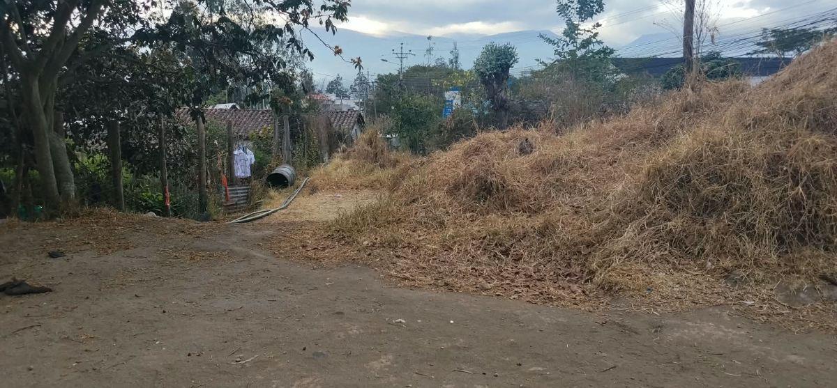 Nayón, Calle Manuela Sáenz, Vendo Terreno de 780 m², Frente 57 m, Cos. Pb 35 %, cos Total 70% — imagen 5