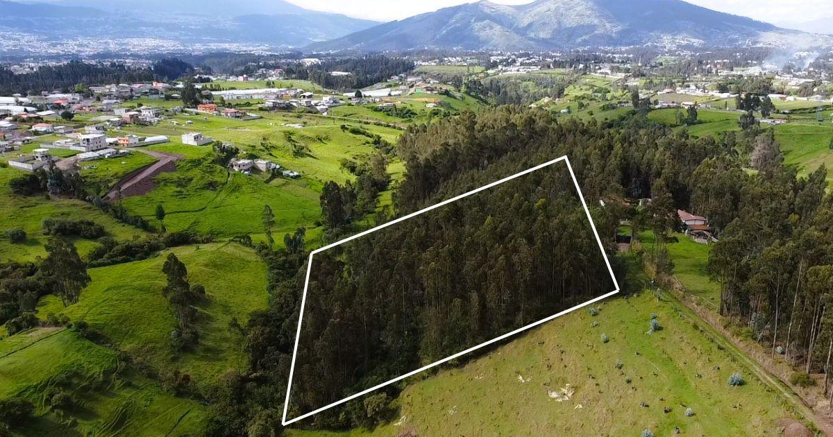 Terreno en Venta | Santa Teresa de Píntag — imagen 10